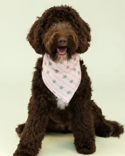Palm Beach Dog Bandana