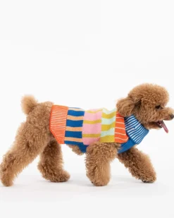 Patchwork Stripe Dog Sweater in Rainbow
