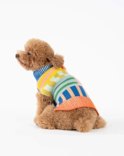 Patchwork Stripe Dog Sweater in Rainbow