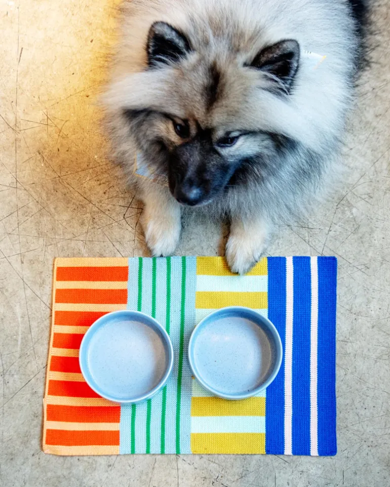 Patchwork Stripe Placemat