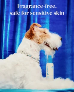 Pawfect Comfort Nose-to-Tail Soothing Jelly Serum for Dogs & Cats