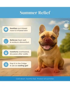 Pawfect Comfort Nose-to-Tail Soothing Jelly Serum for Dogs & Cats