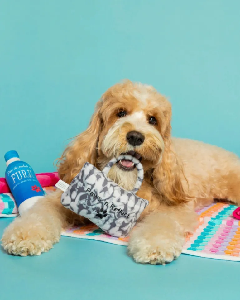 Paw-Lo Plush Squeaky Dog Toy