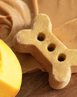 Peanut Butter & Pumpkin Crunchy Dog Biscuits