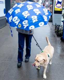 Peanuts Snoopy Limited Edition YO! Duckhead Umbrella