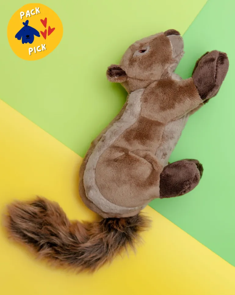 Peanut the Squirrel Squeaky Dog Plush Toy