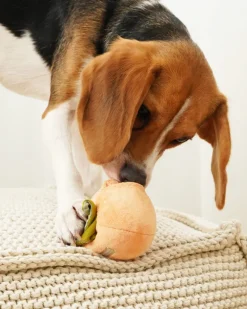 Persimmon Snuffle Squeaky Plush Toy for Dogs