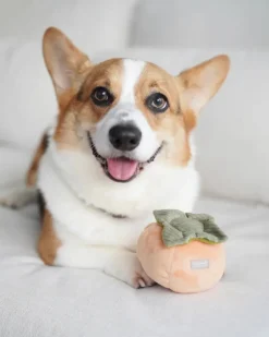 Persimmon Snuffle Squeaky Plush Toy for Dogs