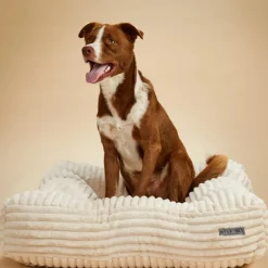 Pillow Top Dog Bed in Luna Ivory (Direct Ship)(Made in the USA)