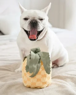 Pineapple Enrichment Plush Dog Toy