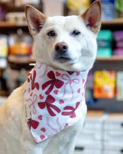 Pink Bows Dog Bandana (Made in the USA) (FINAL SALE)