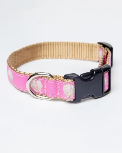 Pink Scallop Shell Adjustable Dog Collar (Made in the USA)