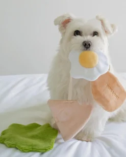 Pita Pocket Nosework Dog Toy