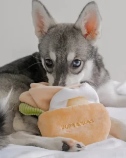 Pita Pocket Nosework Dog Toy