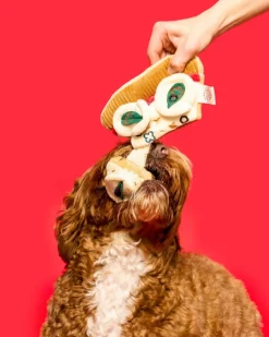 Pizza Nosework Toy for Dogs