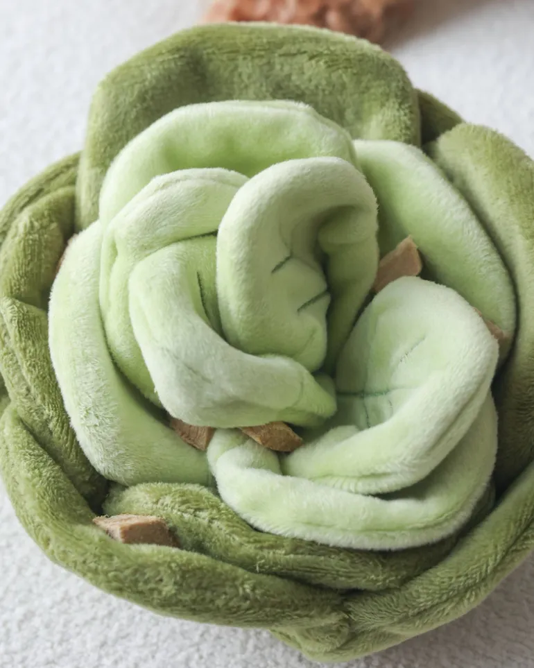 Plush Cabbage Snuffle Dog Toy