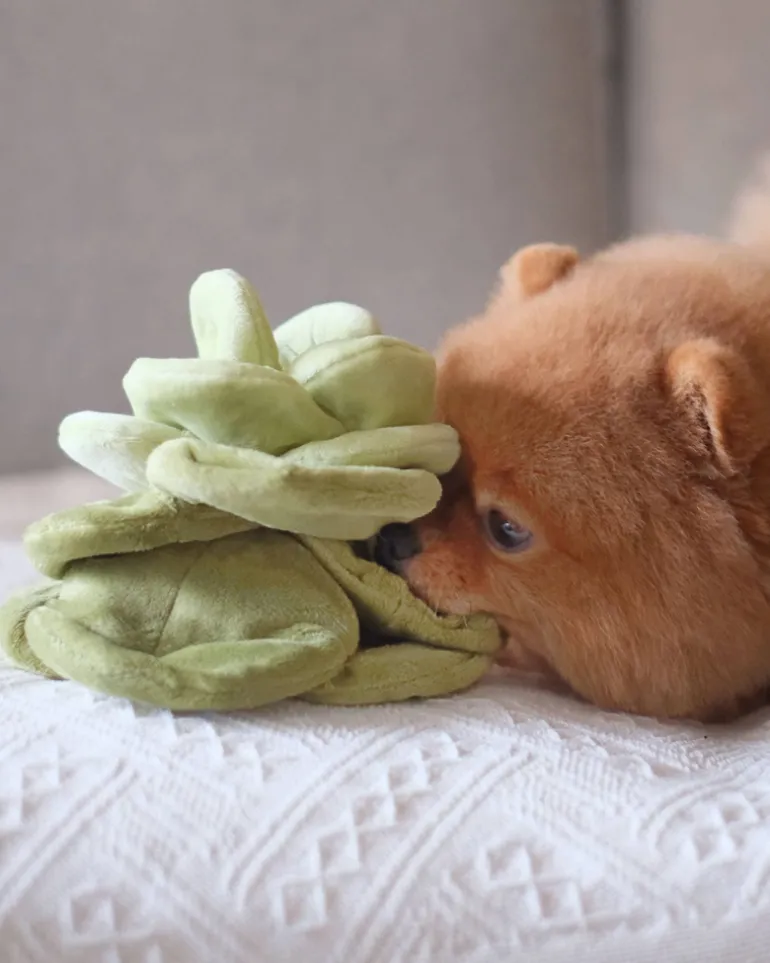 Plush Cabbage Snuffle Dog Toy