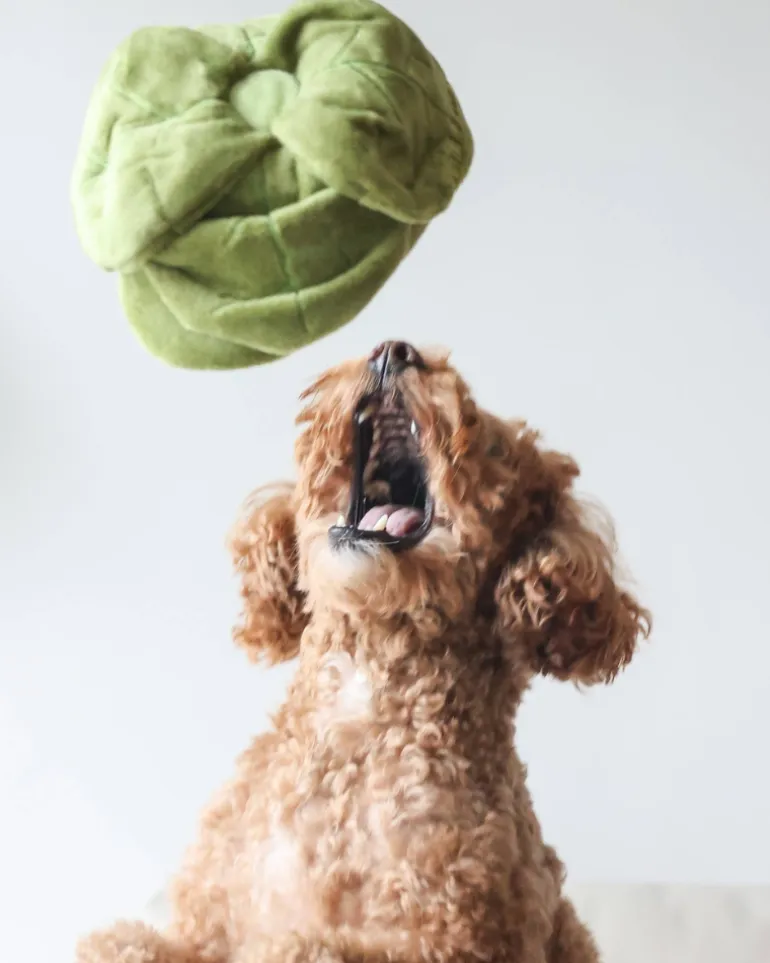 Plush Cabbage Snuffle Dog Toy