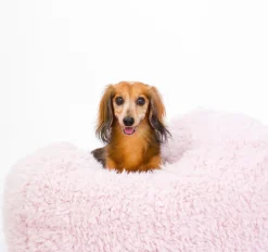 Pod Bed in Blush (Custom/Drop-Ship)