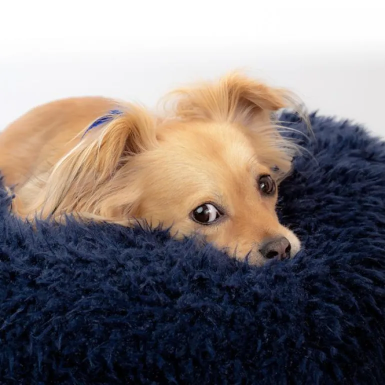 Pod Bed in Navy (Custom/Direct-Ship) (Made in the USA)