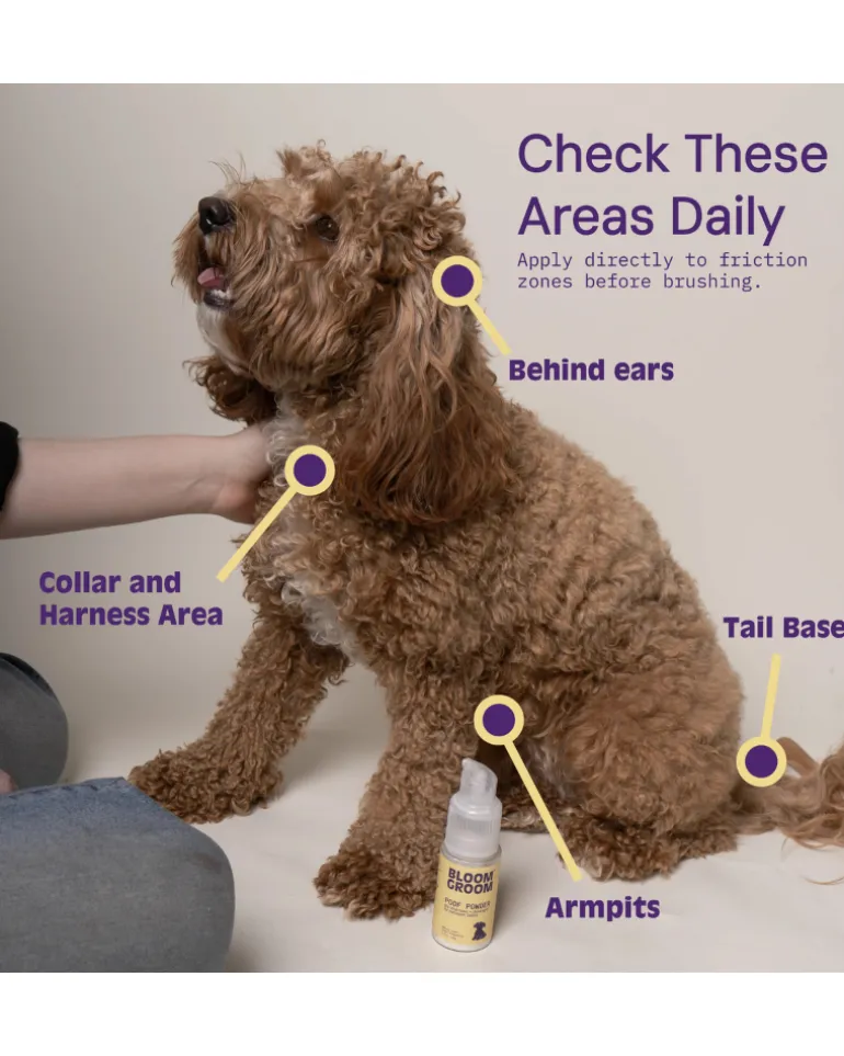 Poof Powder Dry Shampoo & Detangler for Dogs