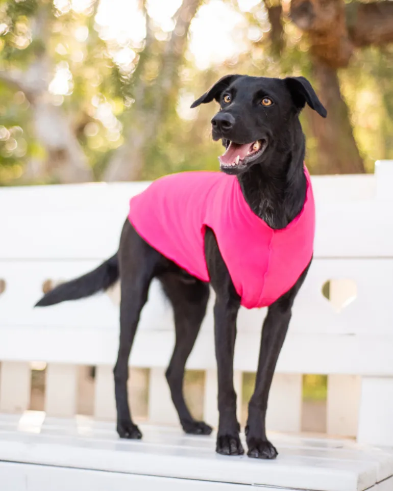 Pullover Stretch Dog Fleece in Neon Pink (Made in the USA)