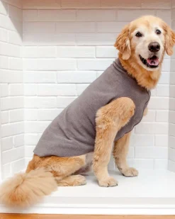 Pullover Stretch Dog Fleece in Charcoal Grey