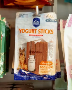 Pumpkin Yogurt Sticks Dog Treat