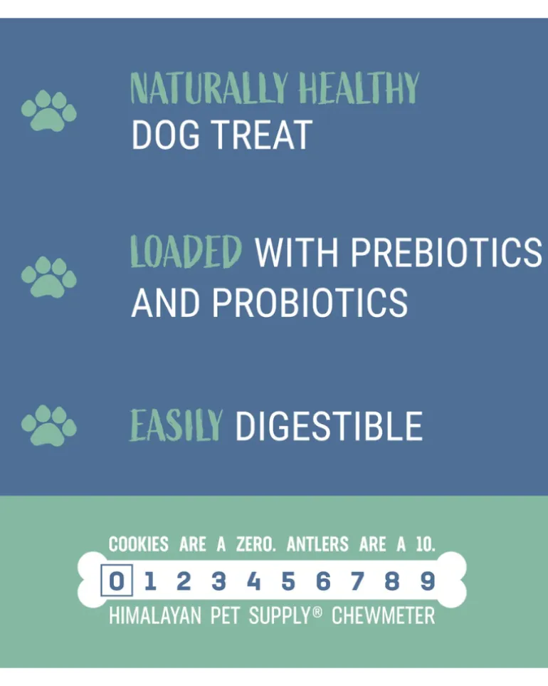 Pumpkin Yogurt Sticks Dog Treat
