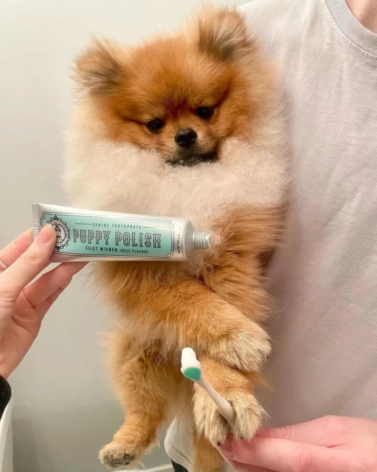 Puppy Polish Dog Toothpaste in Filet Mignon Flavor (Beef)