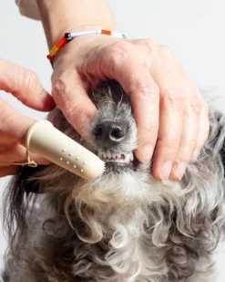Puppy Polisher Finger Dog Toothbrush