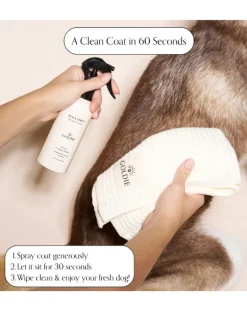 Quick Spritz Waterless Shampoo + Dog Deodorizer