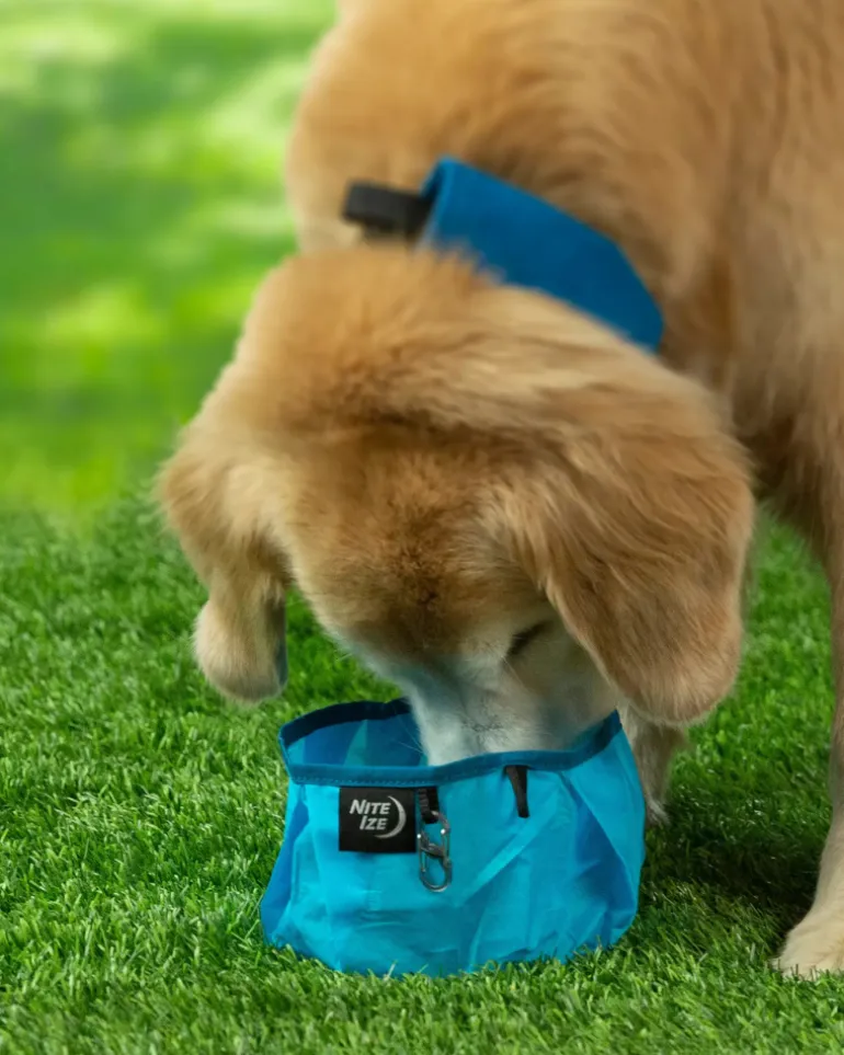 RadDog® Leakproof Collapsible Dog Bowl
