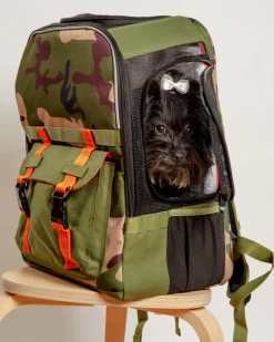 Ready-For-Adventure Pet Backpack (Airline Compliant)