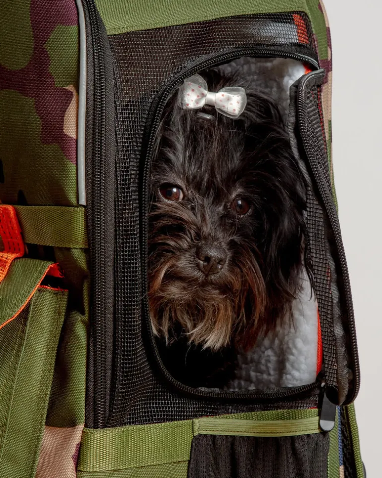 Ready-For-Adventure Pet Backpack (Airline Compliant)