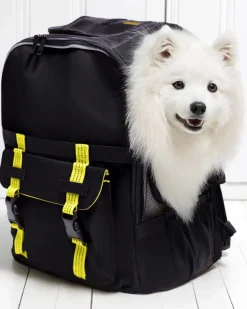 Ready-For-Adventure Pet Backpack in Black (Airline Compliant)