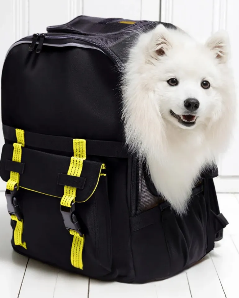 Ready-For-Adventure Pet Backpack in Black (Airline Compliant)
