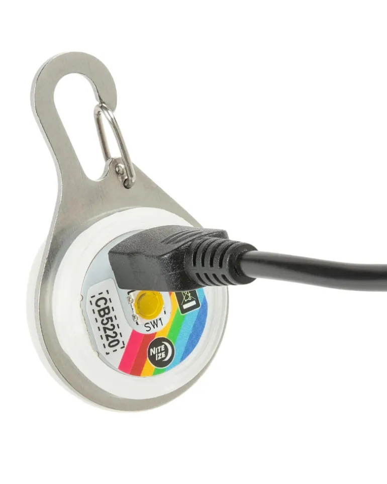 Rechargeable Dog Collar Light in Disc-O-Tech