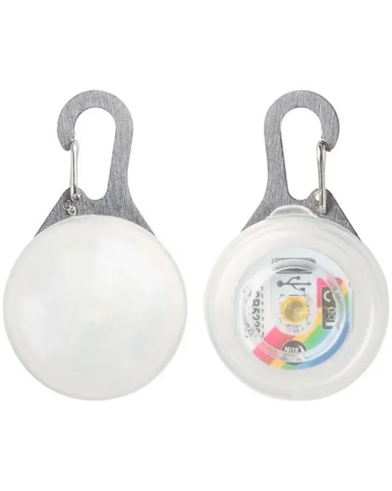 Rechargeable Dog Collar Light in Disc-O-Tech