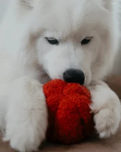 Red Pepper Enrichment Snuffle Dog Toy