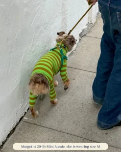 Ribbed Dog Onesie in Fresh Grass