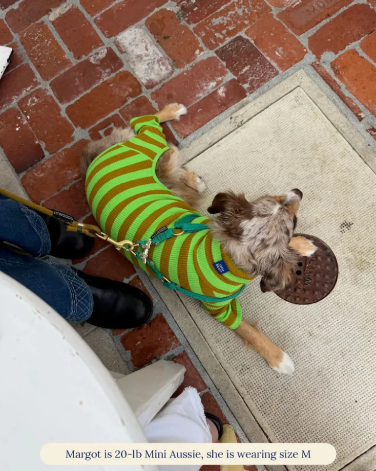 Ribbed Dog Onesie in Fresh Grass