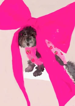 Rory Gevis Holiday Pet Portrait