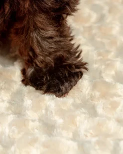 Rosebud Dog Blanket in Tan (Made in the USA)