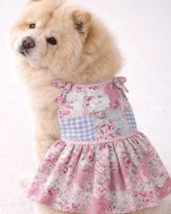 Rosie Keepsake Dog Harness Dress (Made int he USA)