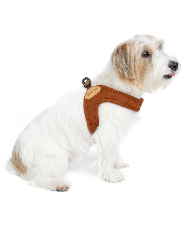 "Roy" Corduroy Buckle Up Easy Dog Harness in Caramel