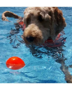 Rubber Ball Dog Toy (Made in the USA)