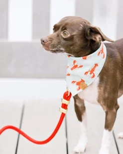 Ruby Red Marine Rope Dog Leash (Made in the USA)