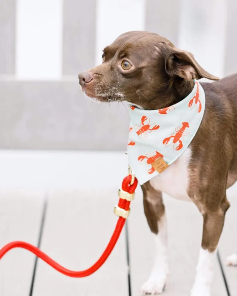 Ruby Red Marine Rope Dog Leash (Made in the USA)
