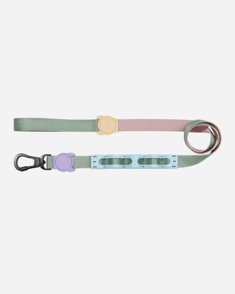 Ruff Leash for Dogs in Peach
